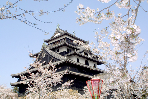 写真：松江城の風景